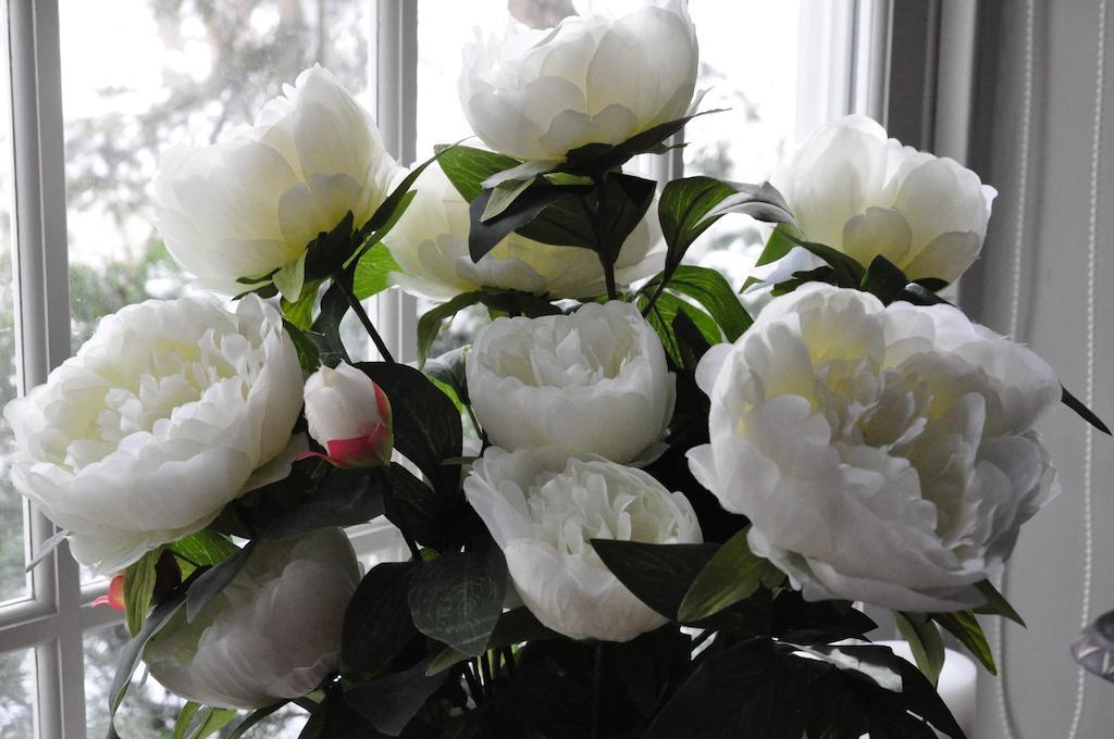 Niagara-on-the-Lake Brockamour Manor Bed And Breakfast المظهر الخارجي الصورة